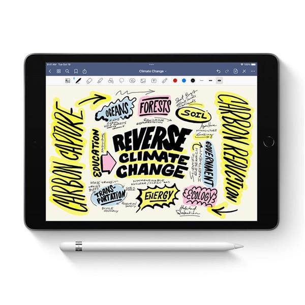 Apple Pencil (1st Generation) + USB-C adapter