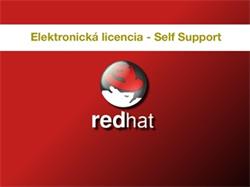 Red Hat Resilient Storage